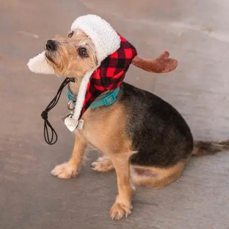 Buffalo Check Antler Dog Hat