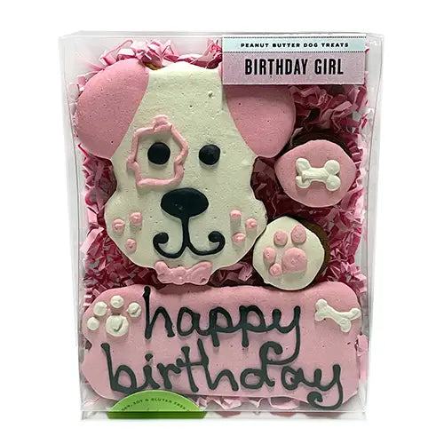 Birthday Girl Box Dog Treats
